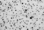 Manganese Carbonate Powder Nano