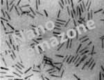 Cadmium Selenide Nanorods