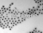 Gold Titanium Oxide Core-Shell Nanoparticles