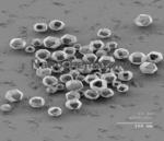 Nano Diamond powder