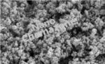 Silicon Nitride Powder