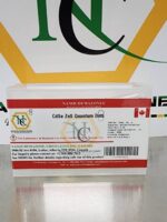 CdSe ZnS Quantum Dots