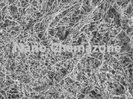 Iron Nanowires properties and applications
