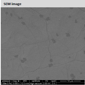 Graphenea Monolayer Graphene film on PET