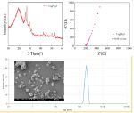 Li6PS5I Powder